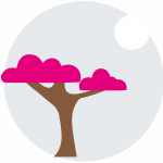 tree Over 28 years’ experience in the insurance market